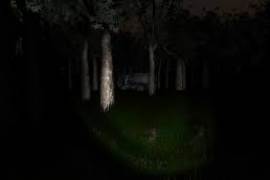 Slender: The Eight Pages 0